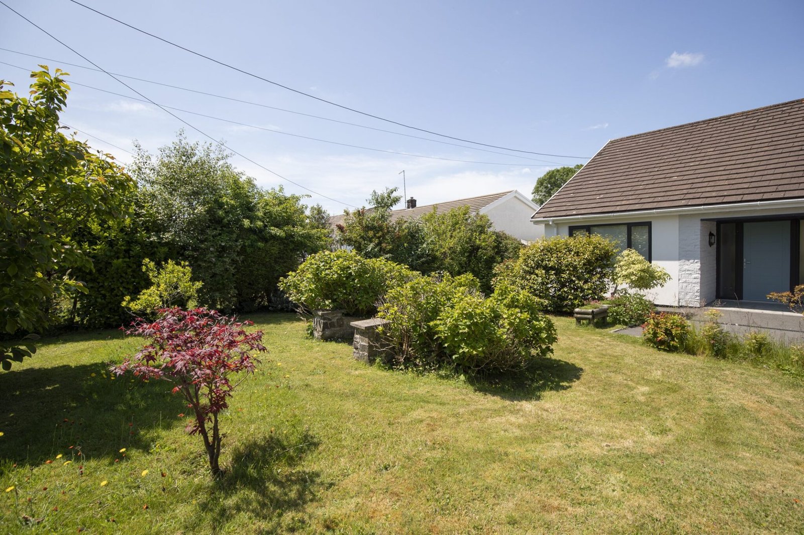 Front garden lawns and shrubs - Copy